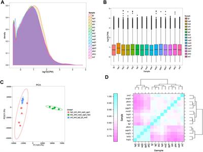 Full-Length Transcriptome Sequencing Analysis of Differentially Expressed Genes and Pathways After Treatment of Psoriasis With Oxymatrine